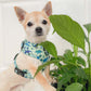 Pawsome Paws Boutique Dinky Dino Harness XS