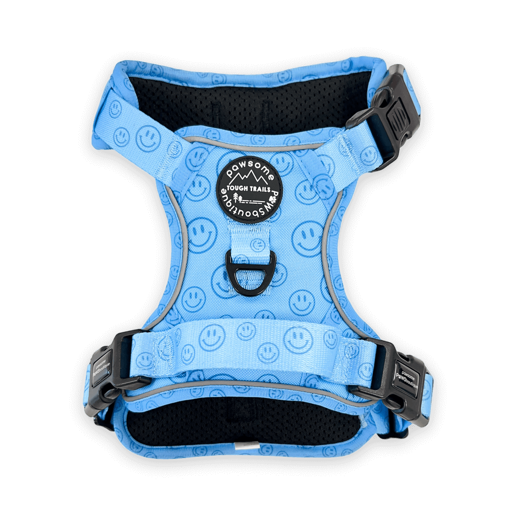 Pawsome Paws Boutique No Blue Mood Tough Trails Harness S