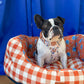 Paddingon Bear Dog Bed Small 24''