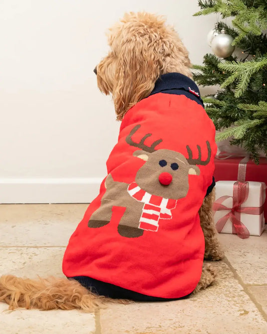 Hugo & Hudson Red Reindeer Christmas Dog Jumper L