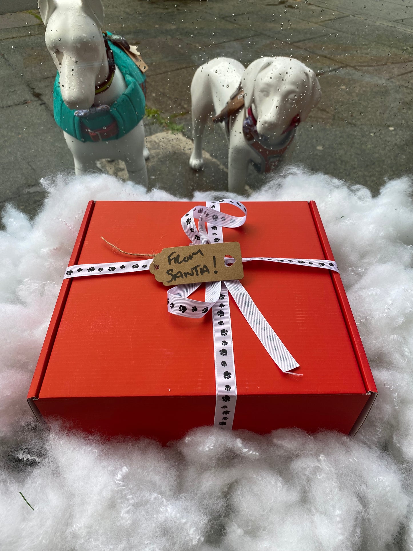 HGPets Christmas Cat Gift Box 15