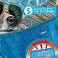 All For Paws Chill Out Ice Bandana Small