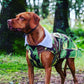 dryrobe Dog Robe Green Camo Grey XL