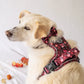 Pawsome Paws Meadow Harness L