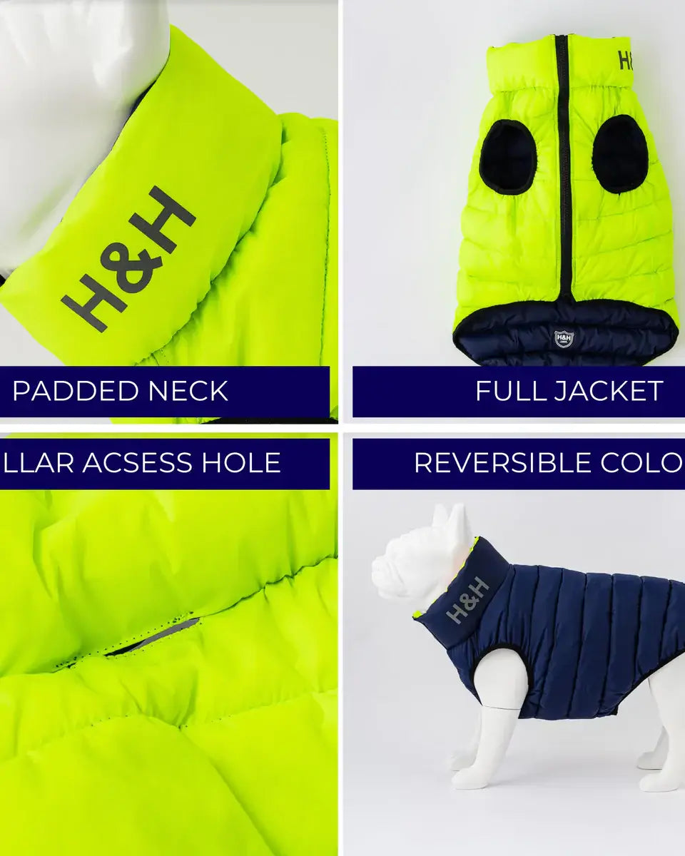 Hugo & Hudson Lime Green / Navy Puffer Jacket S30