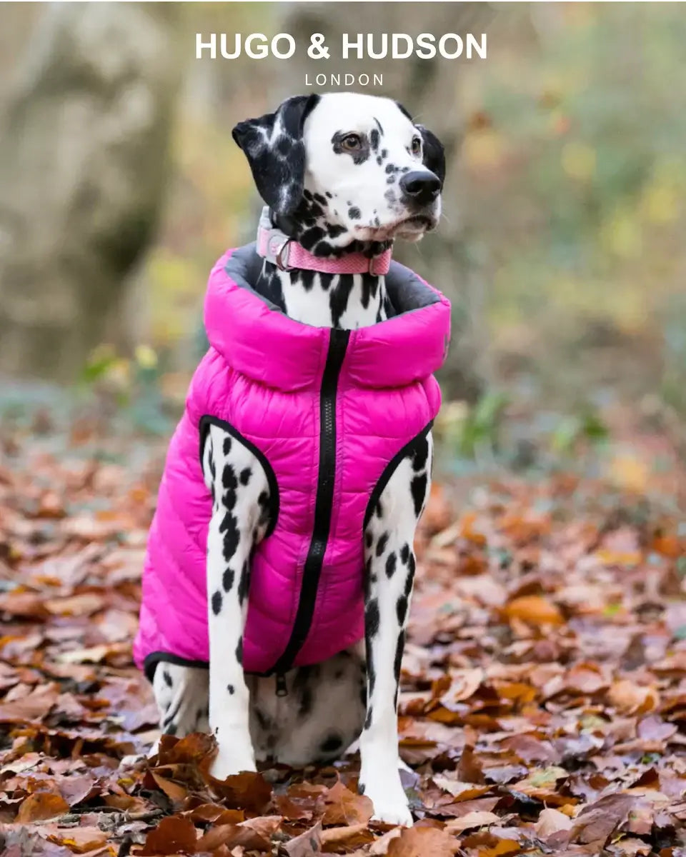 Hugo & Hudson Pink Puffer Jacket Medium 45cm