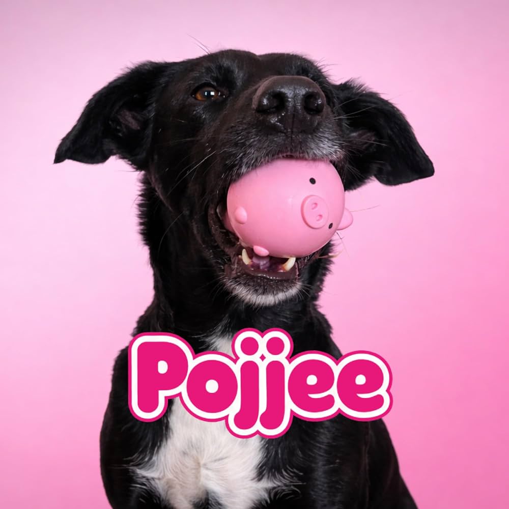 Pojjee Pig Pink Dog Toy