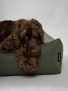 Nordog Hygge Dog Bed Forrest Green Small