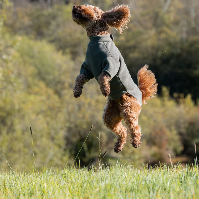 Stix Water Resistant Dog Fleece Burgundy with Lime Zip Cockapoo (M)