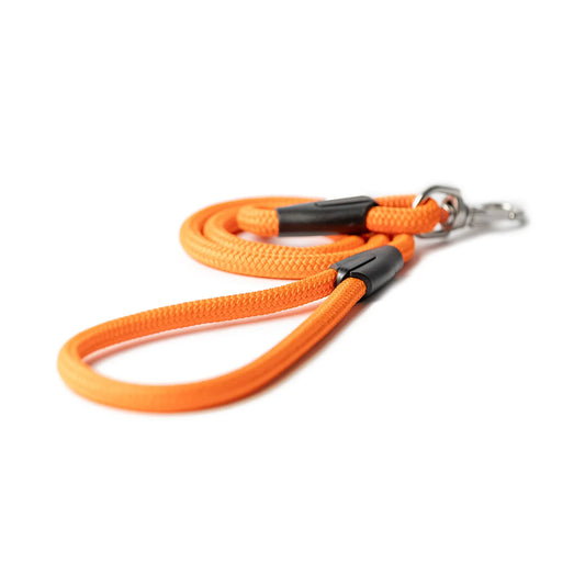 All Paw One Lead Orange  10x1250mm