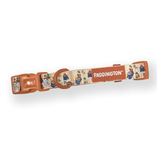 Pawsome Paws Paddington Peckish Collar M