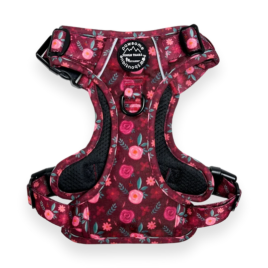 Pawsome Paws Meadsow Harness S