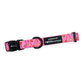 Pawsome Paws Boutique - Candypop Collar - Extra Small XS