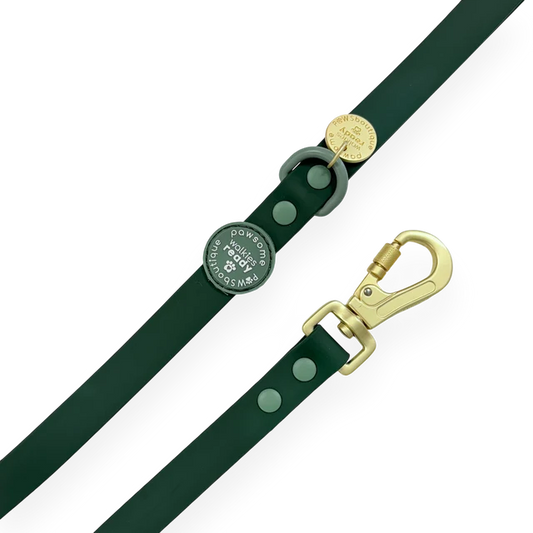 Pawsome Paws Waterproof Lead Green/ Gold