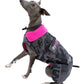 dryrobe Dog Robe Black Camo Pink (M)