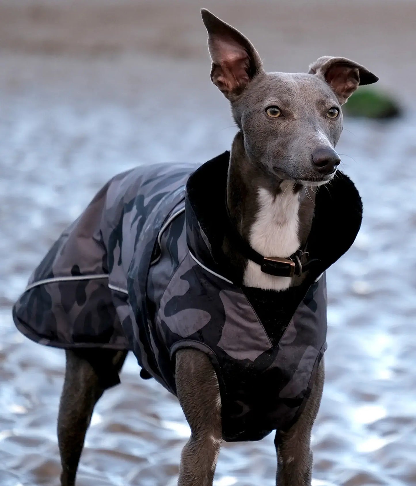 dryrobe Dog Robe Black Camo Black S