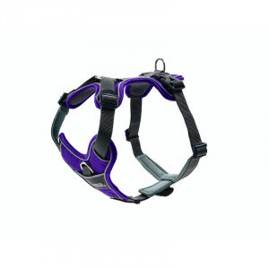 Harness Divo 45-56/S Nylon/Polyester violet/grey