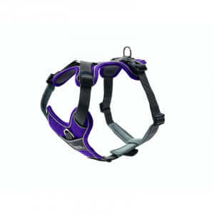 Hunter Harness Divo 34-47/XS Nylon/Polyester violet/grey