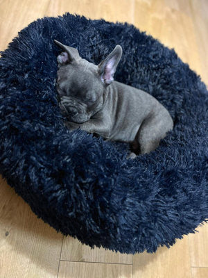 Redwood Anti-Anxiety Donut Dog Bed Small 60cm Navy Blue