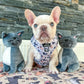 Pawsome Paws Boutique Harness Frenchie Frappuccino Medium