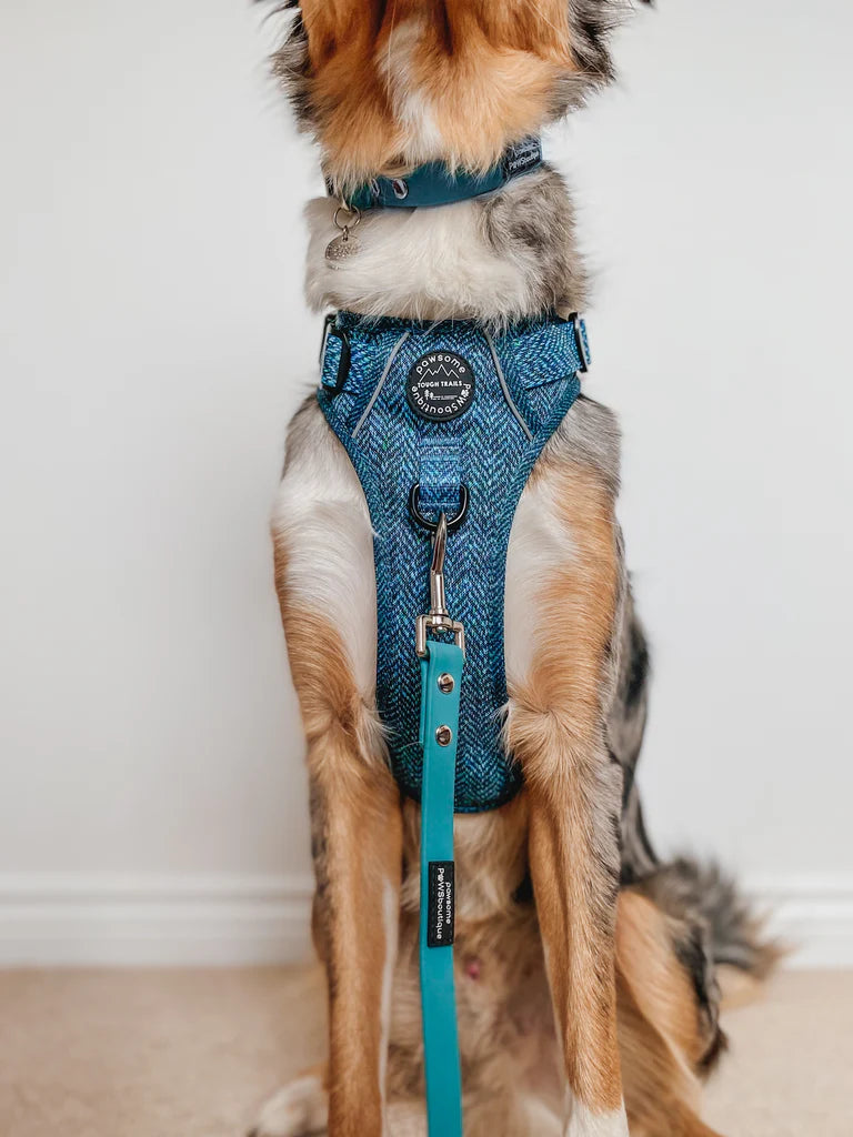 Pawsome Paws Boutique - Country Teal 5ft Lead