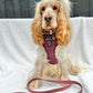 Pawsome Paws Boutique - Country Burgundy Collar - Large