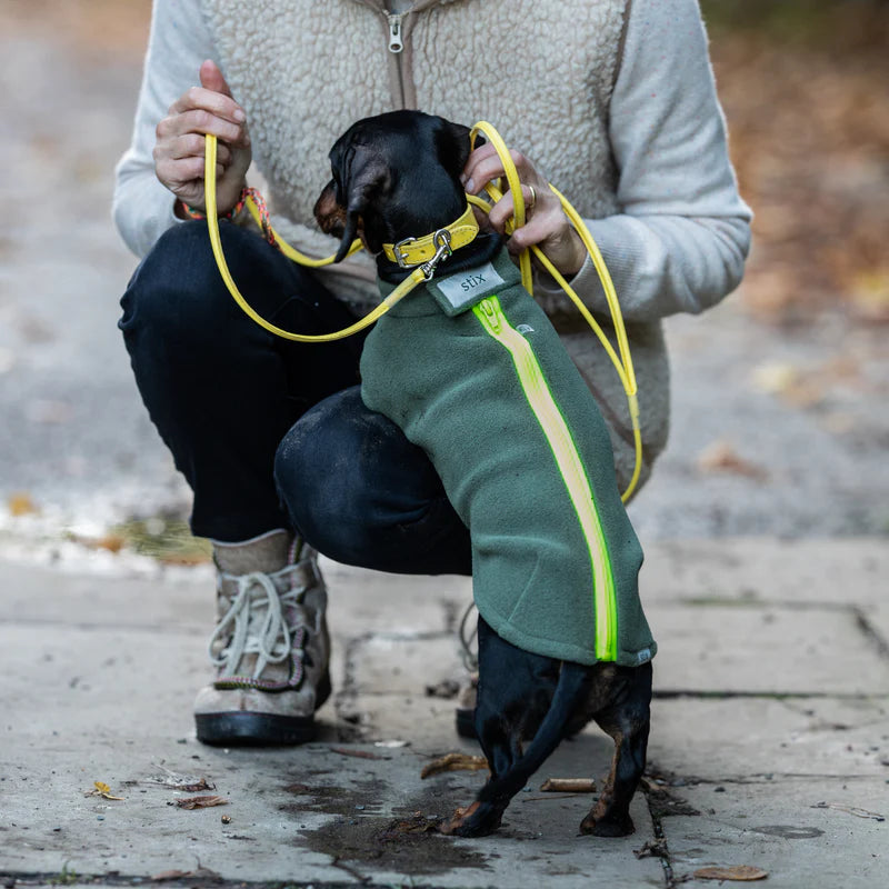 Stix Water Resistant Dog Fleece Olive Green Lime Green Zip Mini daschund (Medium)