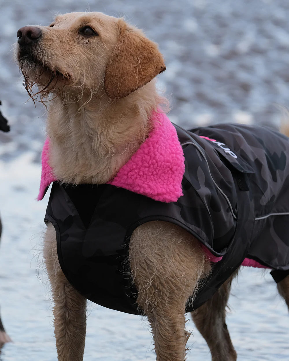 dryrobe Dog Black Camo Pink XL