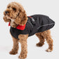 dryrobe Dog Black Red Large