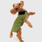 Dryrobe Dog Green Black XS