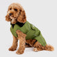 Dryrobe Dog Green Black XS