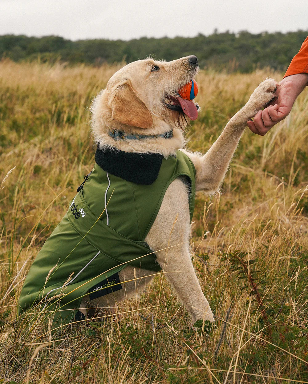 DryRobe Dog Robe Dog Coat Dark Green Black XL