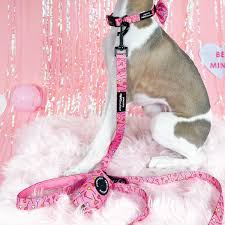 Pawsome Paws Boutique - Candypop - 5FT Lead