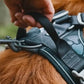 Hurtta Weekend Warrior Harness Raven 100-120cm