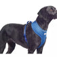 Ancol Comfort Mesh harness Blue Small 34-45cm