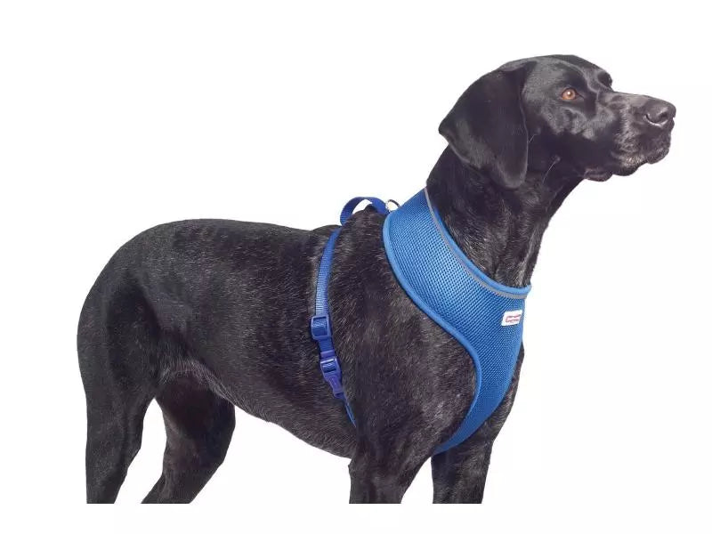 Ancol Comfort Mesh harness Blue Small 34-45cm