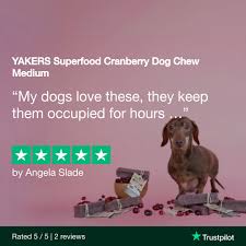 Yakers XL Dog Chew Cranberry