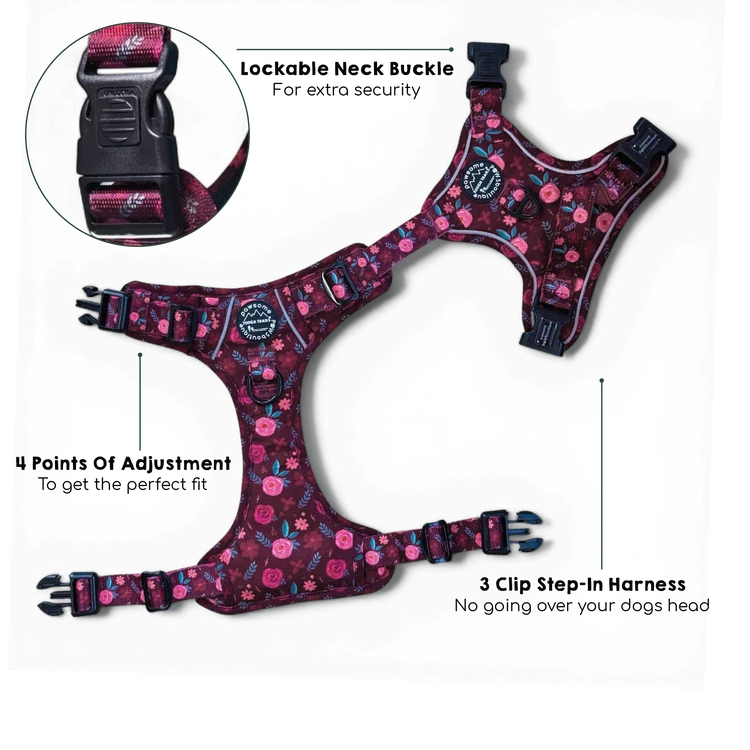 Pawsome Paws Meadsow Harness S
