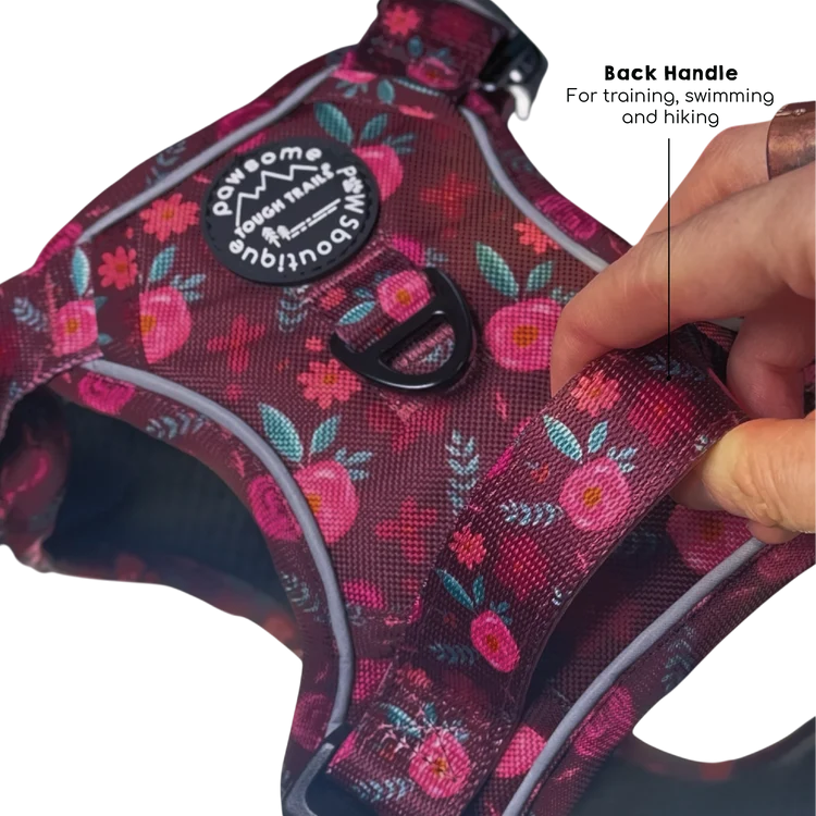 Pawsome Paws Meadsow Harness S