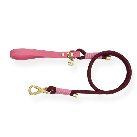 Pawsome Paws Boutique 4ft Rope Lead Walkie Ready Mulberry