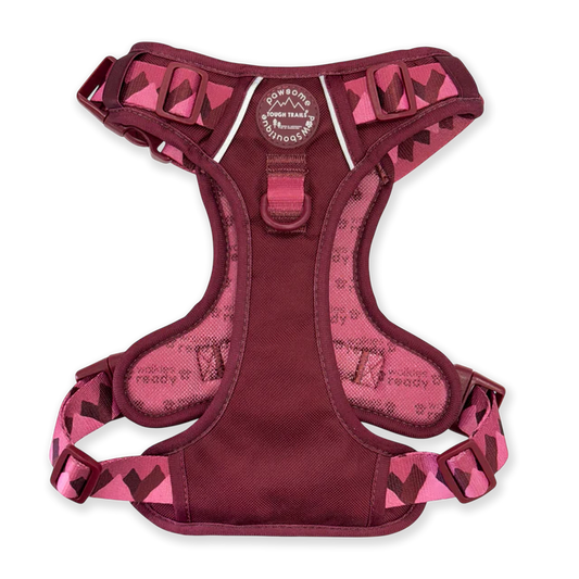 Pawsome Paws Boutiique Mulberry Walkies Ready Dog Harness L