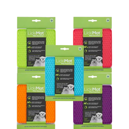 LickiMat Mini Soother Green