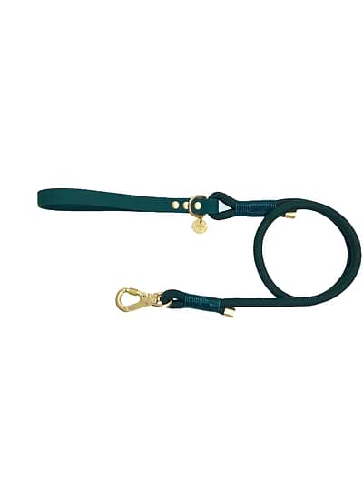 Pawsome Paws Waterproof Lead Green