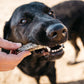 Fish 4 Dogs Sea Jerky Fish Strips 500g