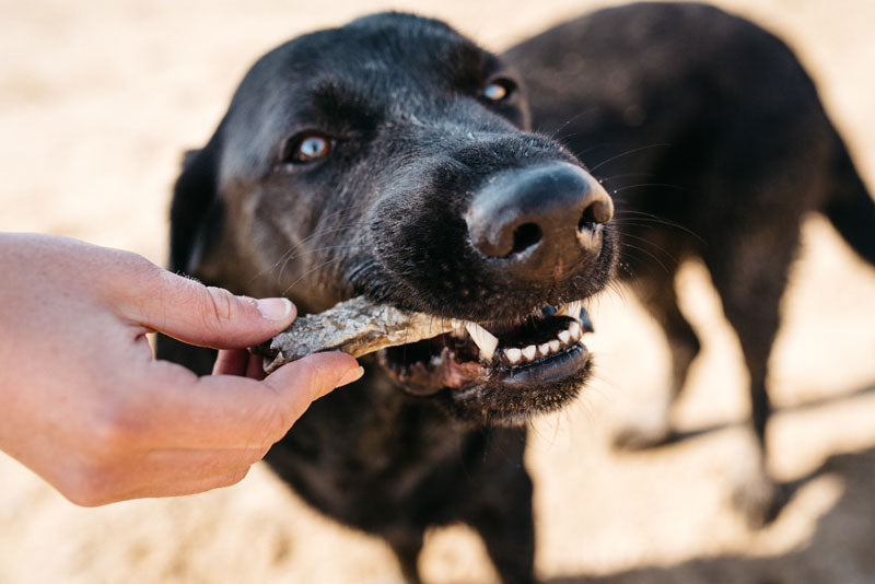 Fish 4 Dogs Sea Jerky Fish Strips 500g