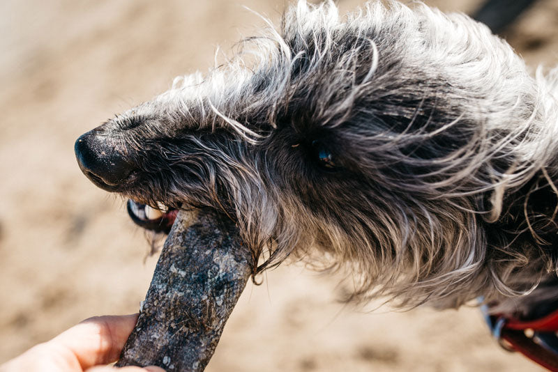 Fish 4 Dogs Sea Jerky Fish Strips 500g