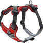 Hunter Harness Divo 34-47/XS Nylon/Polyester red/grey