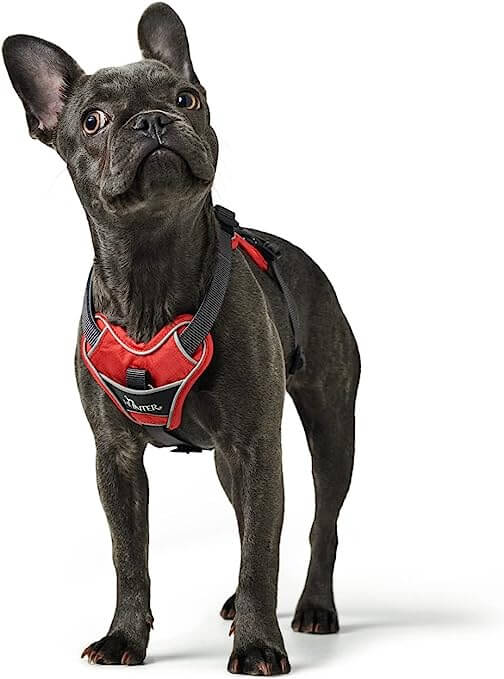 Hunter Harness Divo 34-47/XS Nylon/Polyester red/grey