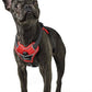 Hunter Harness Divo 45-56/S Nylon/Polyester red/grey