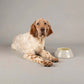 Scruffs Icon Long Eared Dog Bowl - 21cm Light Grey